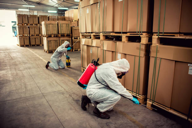 Best Rat Extermination Near Me  in Northridge, OH