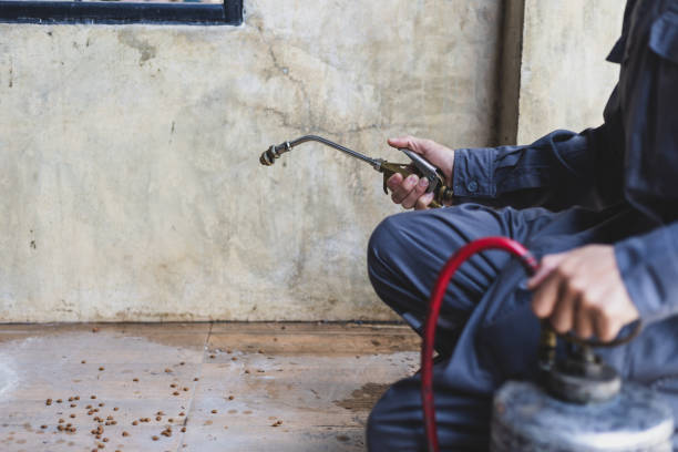 Pest Control for Restaurants in Northridge, OH
