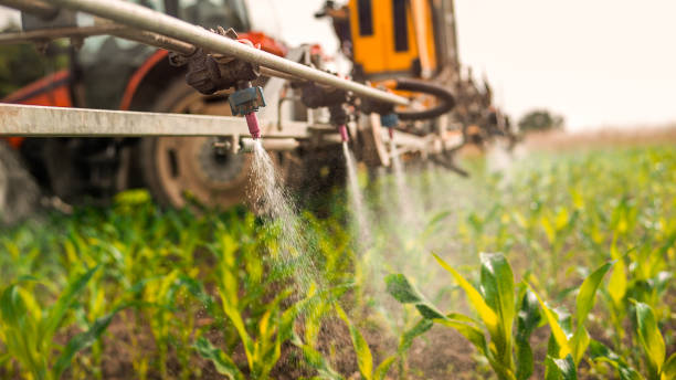 Best Mosquito Control Services  in Northridge, OH